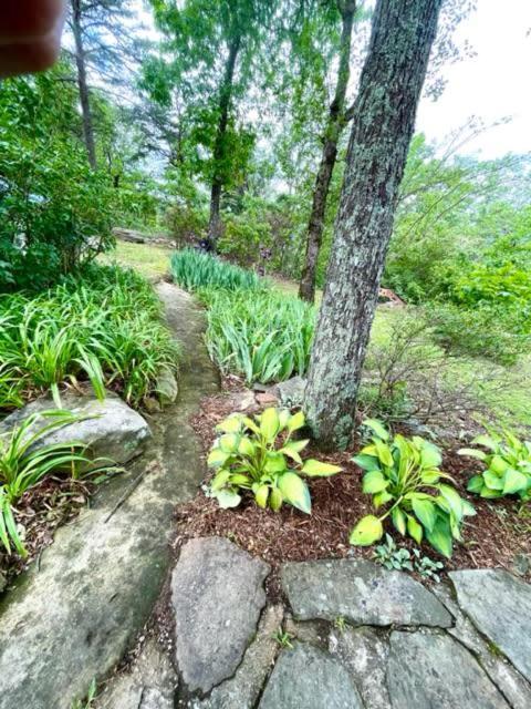 Eagles Perch - Mentone'S #1 Vacation Rental! Luaran gambar